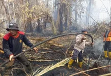 Hari Kelima, Karhutla Teluk Lancar Masih Asap, Tim Gabungan Lakukan Pendinginan
