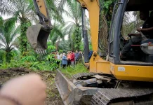 Pemkab Bengkalis Perkuat Pencegahan Karhutla tanpa Membakar Lahan