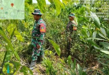 Babinsa Mandau Patroli Cegah Karhutla Pantau Wilayah Rawan