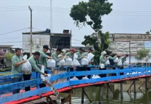 Waduk Polbeng Disiapkan Jadi Ikon Kampus, 25 Ribu Benih Ikan Nila Ditebar