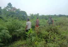 Babinsa dan Warga Patroli Karhutla, Lubuk Gaung Nihil Titik Api