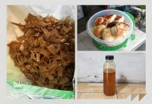 UMKM Teluk Papal Punya Potensi, dari Roti hingga Madu Hutan