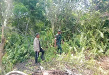 Patroli Karhutla di Rupat, TNI Pastikan Lahan Sri Tanjung Aman
