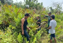 Babinsa dan Warga Patroli Karlahut di Selatpanjang, Nihil Titik Api