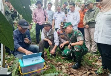 Menhut: Tanjung Leban Jadi Contoh Jaga Gambut dari Karhutla