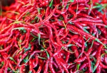Harga Cabai Merah Keriting di Pasar Terubuk Bengkalis Capai Rp95 Ribu per Kilogram