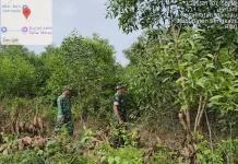 Patroli Rutin Babinsa Mandau di Awal Bulan Oktober 2026