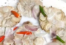 Tiwadak Baparung, Kuliner Khas Banjar dari Cempedak Muda