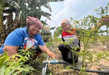 Atasi Air saat Kemarau, PHR Hadirkan Irigas Tetes Bagi Kelompok Tani Perawang