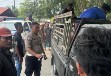 Honda Beat dan L300 Bertabrakan, Satu Orang Meninggal