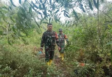 Babinsa Koramil 03/Mandau Patroli Cegah Karhutla