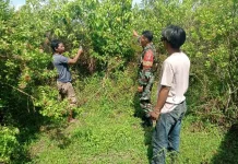 Babinsa dan Warga Patroli Karhutla di Insit, Nihil Titik Api