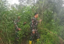 Dua Babinsa Mandau Patroli Cegah Karhutla diwilayah Rawan