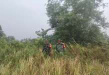 Babinsa Mandau Patroli Karhutla, Pastikan Sakura Duri Barat Aman