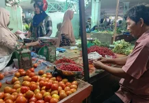 Harga Cabai di Bengkalis Tembus Rp120 Ribu, Pedagang Pilih Cabai Palembang
