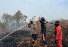 Karhutla 10 Hektare, Tim Gabungan Bergerak di Rupat