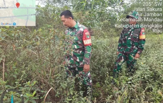 Babinsa Koramil 03/Mandau Intensif Patroli Cegah Karhutla
