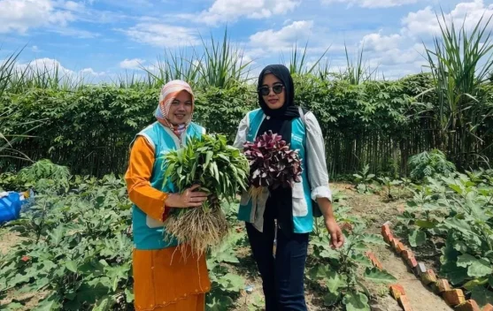 Murni Sulap Lahan Mati Jadi TOGA