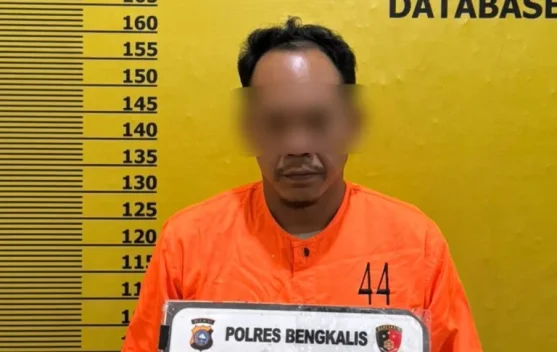 Polres Bengkalis Ungkap Ilegal Logging Siak Kecil