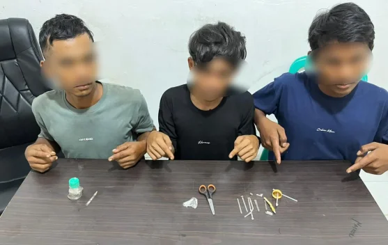 Pesta Sabu di Kebun Sawit Digerebek Polisi