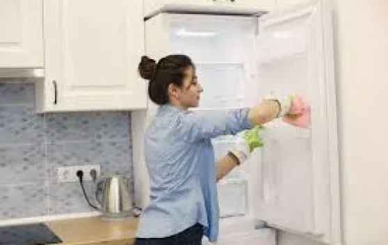 Tips Menghilangkan Bau di Kulkas