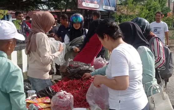 Cabai Lokal Bengkalis Laris Manis, Bukti Potensi Pangan Desa Menjanjikan