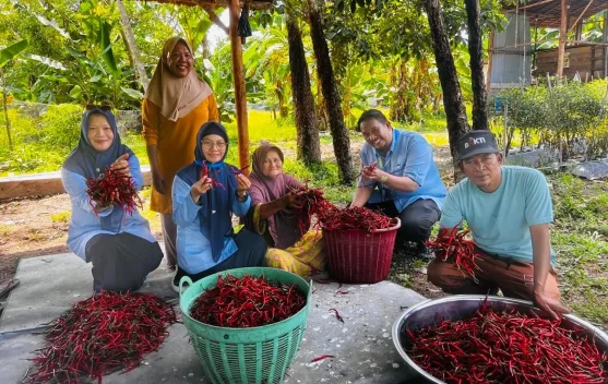 Libatkan Warga dari Hulu ke Hilir, BUMDes Kuala Alam Dorong Ekonomi Desa