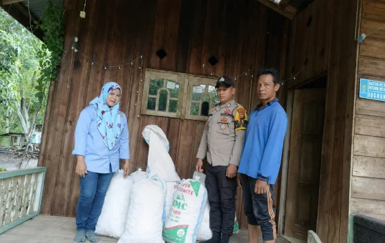 Polres Bengkalis Dampingi Petani Panen Jagung di Bukit Batu