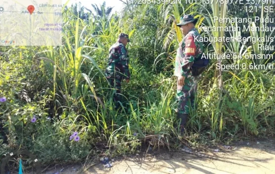 Babinsa 03/Mandau Patroli Cegah Munculnya Titik Api Karhutla