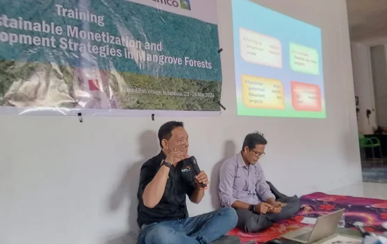 Regulasi Pengelolaan Ekowisata Mangrove Berbasis Keberlanjutan di Bengkalis