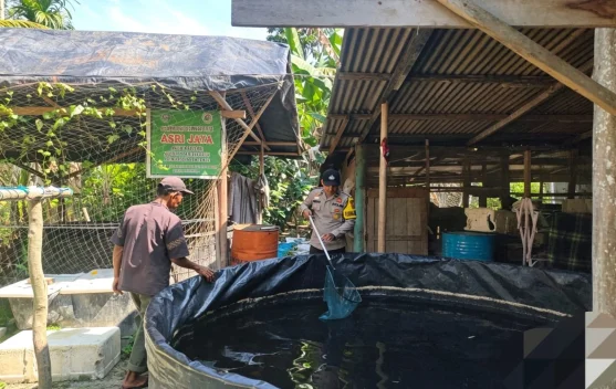 Polisi Dorong Budidaya Lele, Warga Pasiran Diajak Mandiri