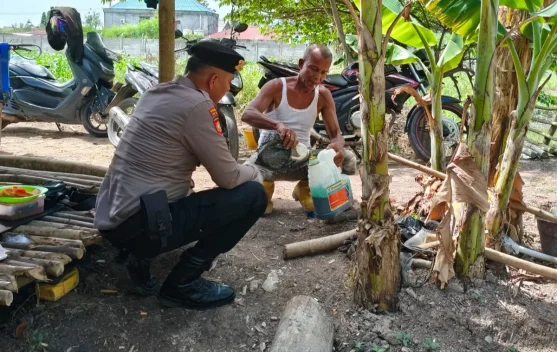 Polsek Pelabuhan Kawal Pertumbuhan Jagung di Lahan Pertamina