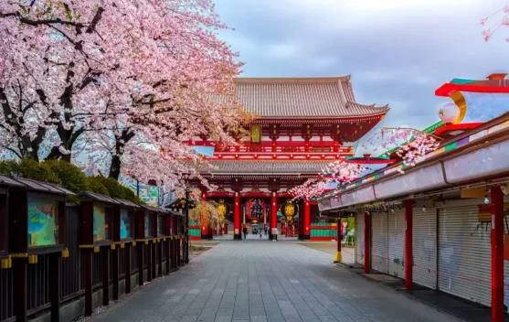 Mulai 1 Juli 2026, Wisatawan yang Tinggalkan Jepang Dikenakan Pajak Keberangkatan