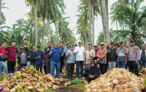 Wabup Meranti Tinjau Potensi Kelapa Unggulan Kecamatan Rangsang