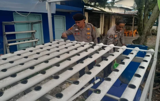 Polsek Kawasan Pelabuhan Dumai Kembangkan Hidroponik Pakcoy Tahap III