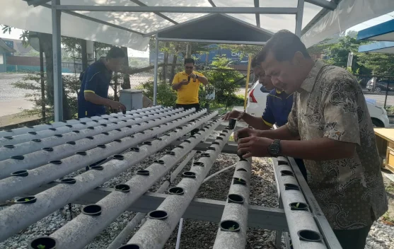 Polsek Kawasan Pelabuhan Dumai Kembangkan Pakcoy Hidroponik Tahap III