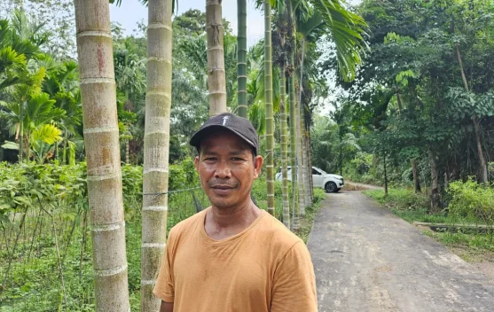 Usaha Sampingan Budidaya Kacang Panjang di Pekarangan Rumah Hasilkan Cuan