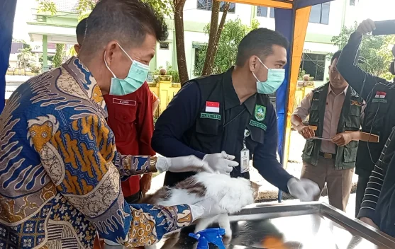 Vaksin Rabies Gratis Dimulai, Bengkalis Targetkan 2.500 Hewan