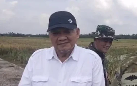 Panen Raya Padi Serentak, Desa Sepotong Jadi Lokasi Virtual bersama Presiden