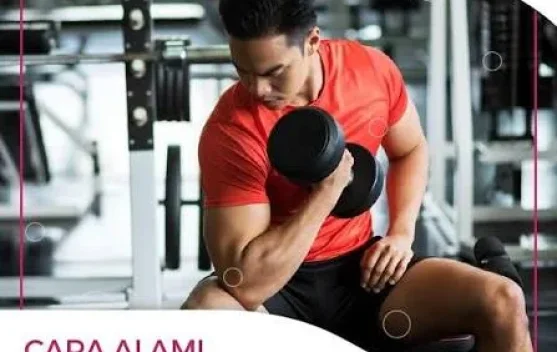 Cara Meningkatkan Hormon Testosteron Secara Alamai