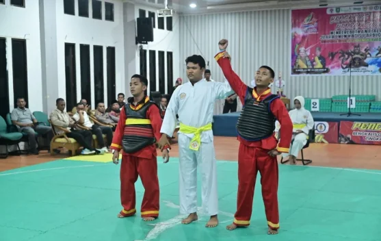 Bengkalis Open Pencak Silat Lahirkan Atlet Berprestasi Daerah