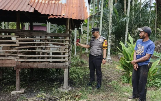 Bhabinkamtibmas Bantan Timur Dukung Asta Cita lewat Ternak Kambing
