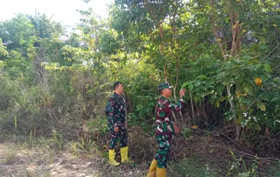 Patroli Intesif Babinsa 03/Mandau Cegah Titik Api Karhutla