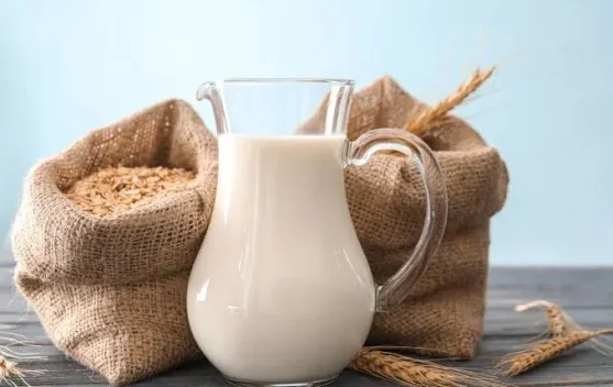 Nutrisi dan Manfaat Susu Gandum bagi Kesehatan