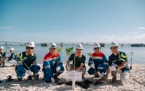 Tujuh Ratus Mangrove Ditanam di Marine Dumai, PHR Perkuat Komitmen Lingkungan