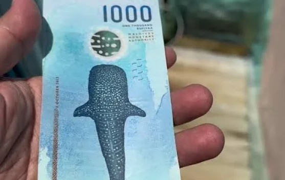 Uang 1.000 Rufiyaa Maladewa, Dinobatkan Sebagai Salah Satu Uang Terindah Dunia