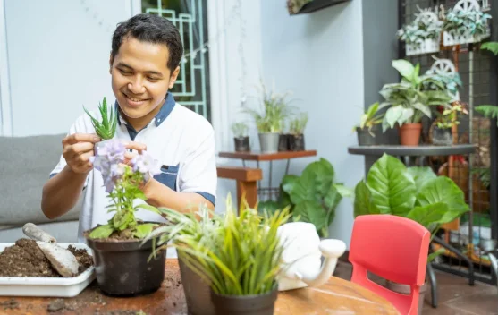 6 Ide Bisnis Tanaman Hias Modal Kecil yang Menguntungkan