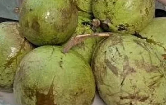 Buah Kenitu, Sawo Duren yang Kaya Nutrisi dan Antioksidan