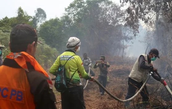 Sekda Meranti Turun Langsung Bantu Pemadaman Karhutla