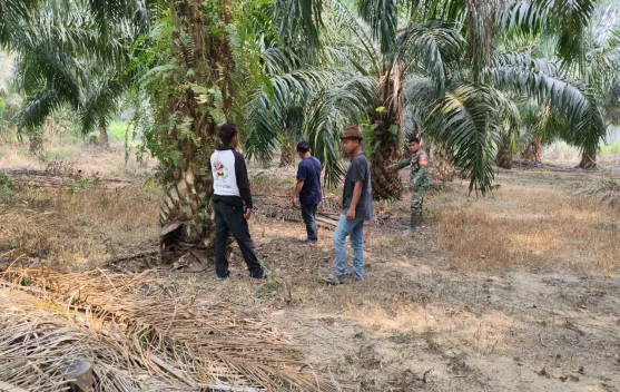 Cegah Karhutla, Babinsa dan Warga Patroli di Desa Sepotong